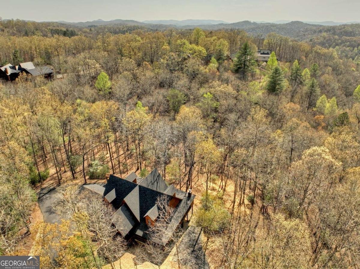 115 Coldwater Creek Drive Mineral Bluff - 62