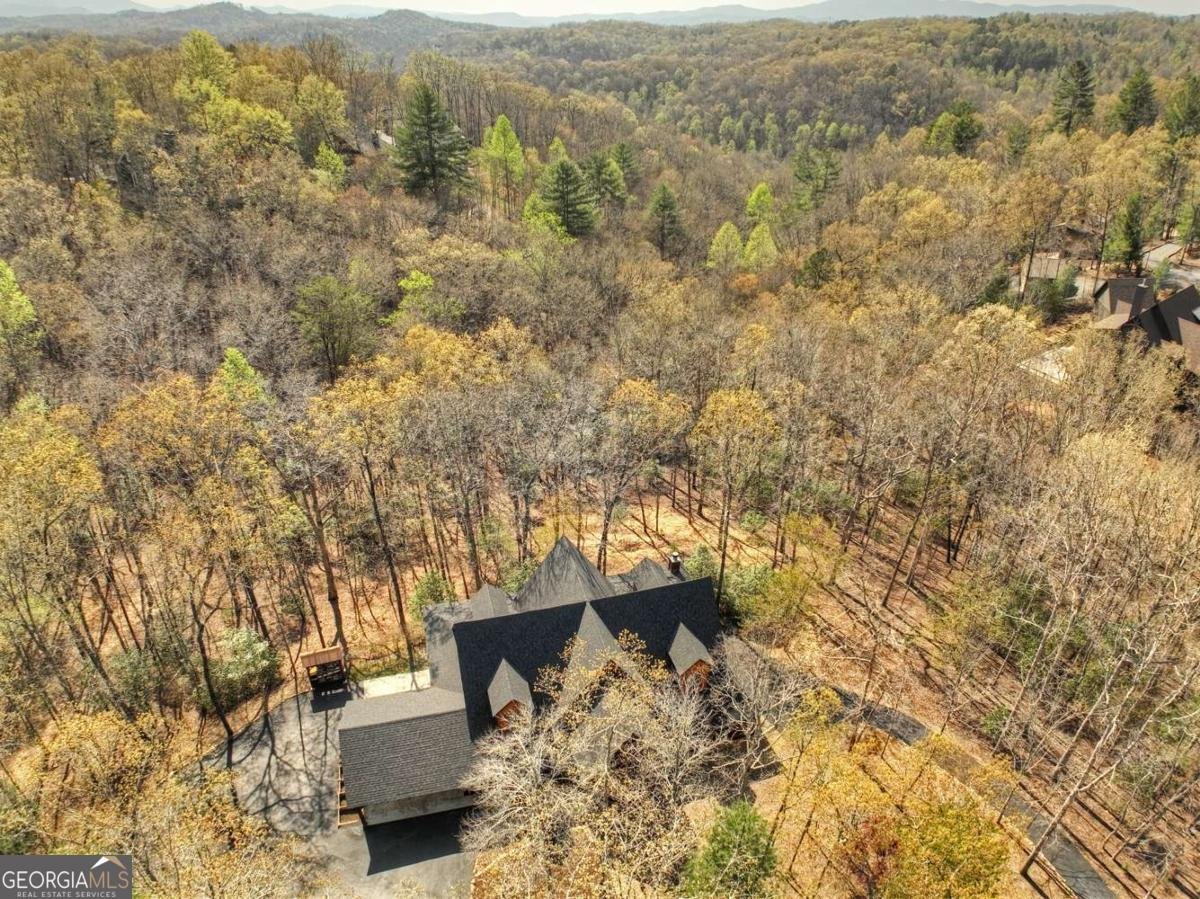 115 Coldwater Creek Drive Mineral Bluff - 64