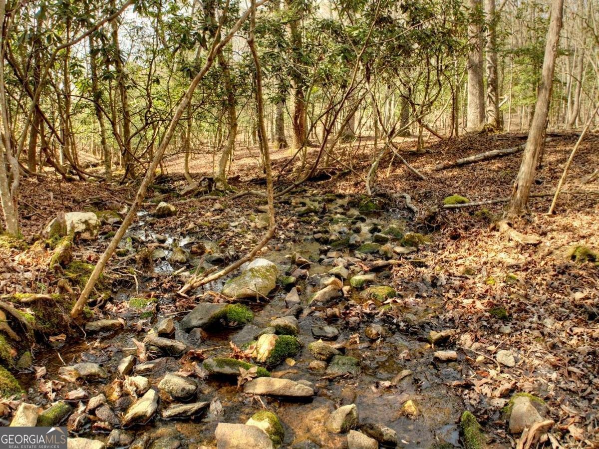 115 Coldwater Creek Drive Mineral Bluff - 65