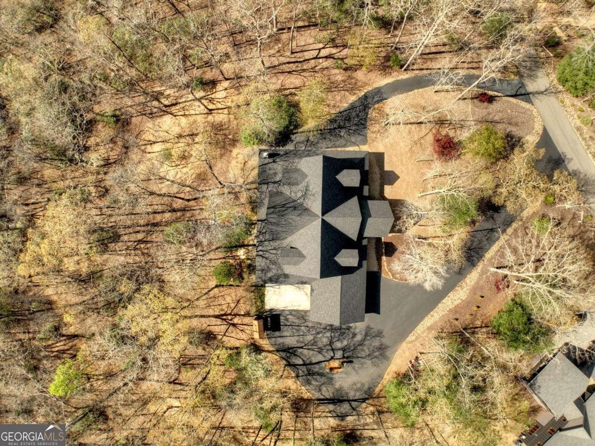 115 Coldwater Creek Drive Mineral Bluff - 66