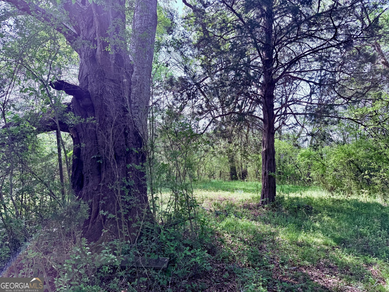2616 Trion Teloga Road Summerville - 16