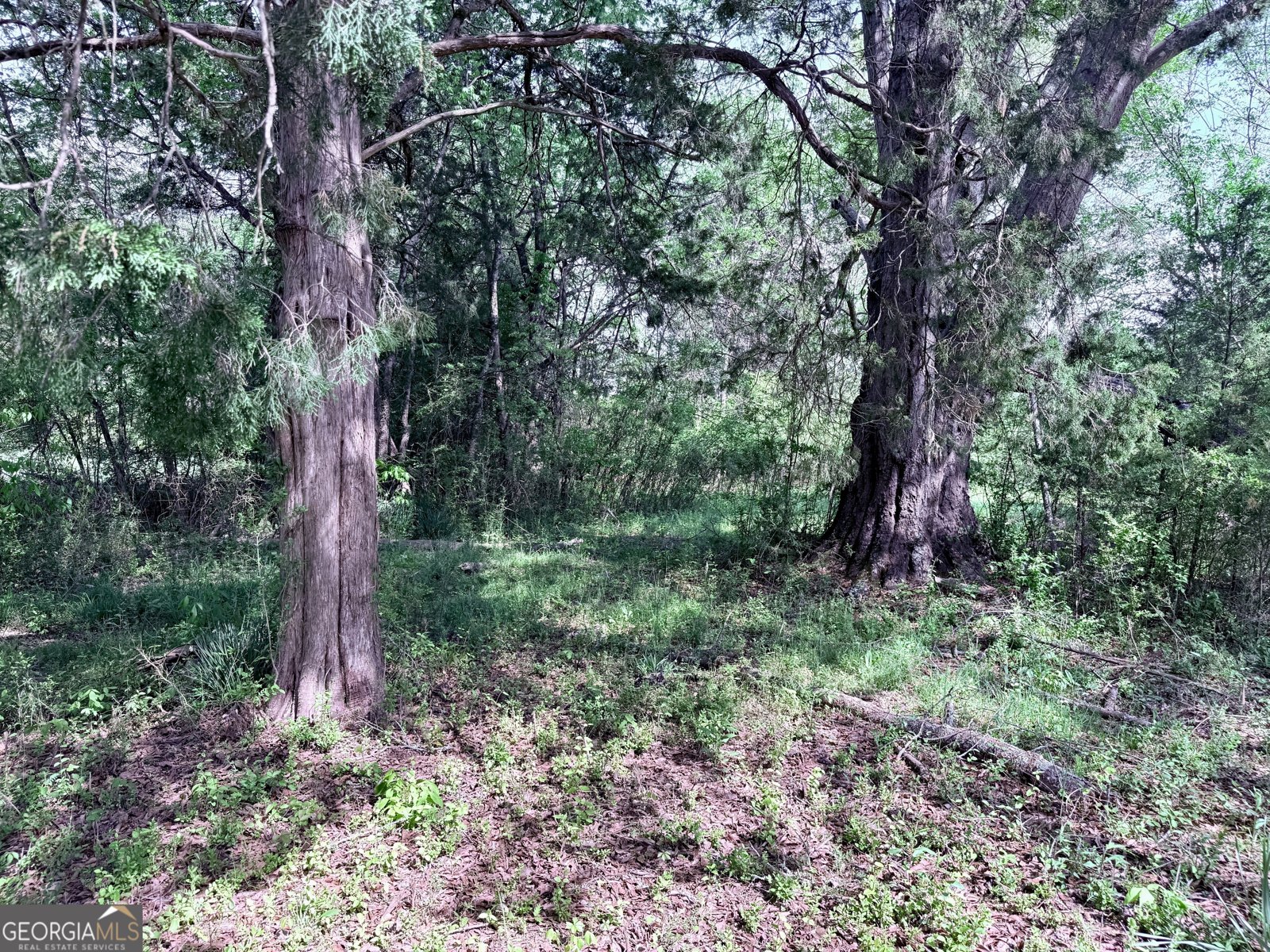 2616 Trion Teloga Road Summerville - 17