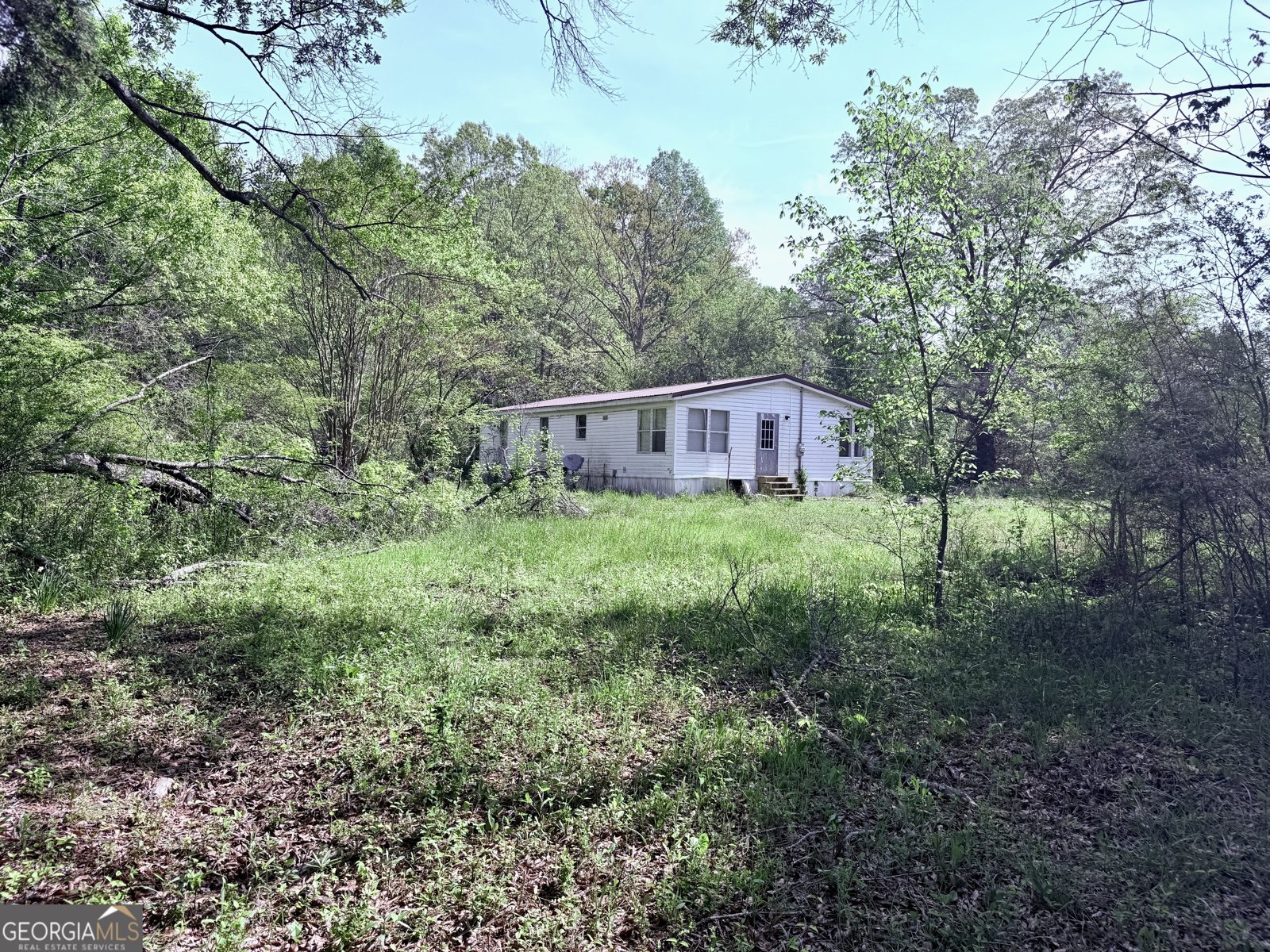 2616 Trion Teloga Road Summerville - 18
