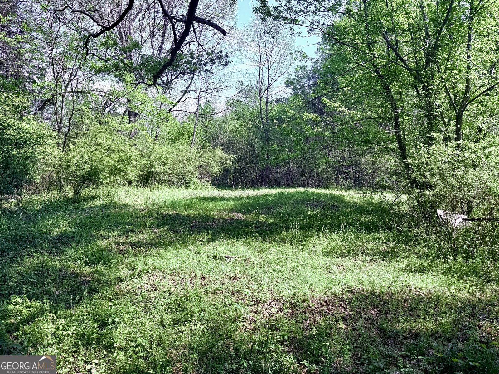 2616 Trion Teloga Road Summerville - 19