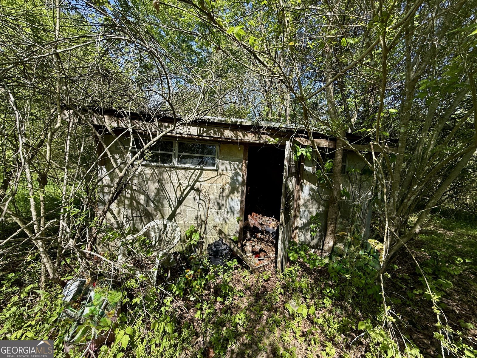2616 Trion Teloga Road Summerville - 21