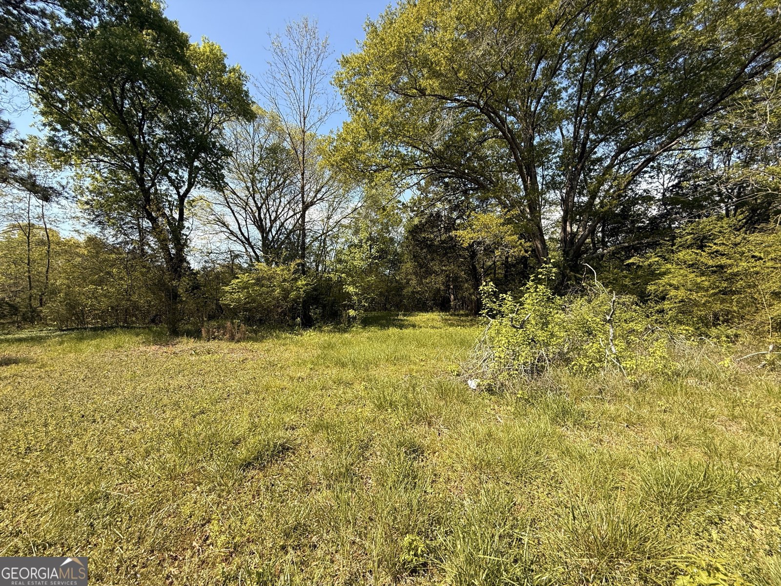 2616 Trion Teloga Road Summerville - 22