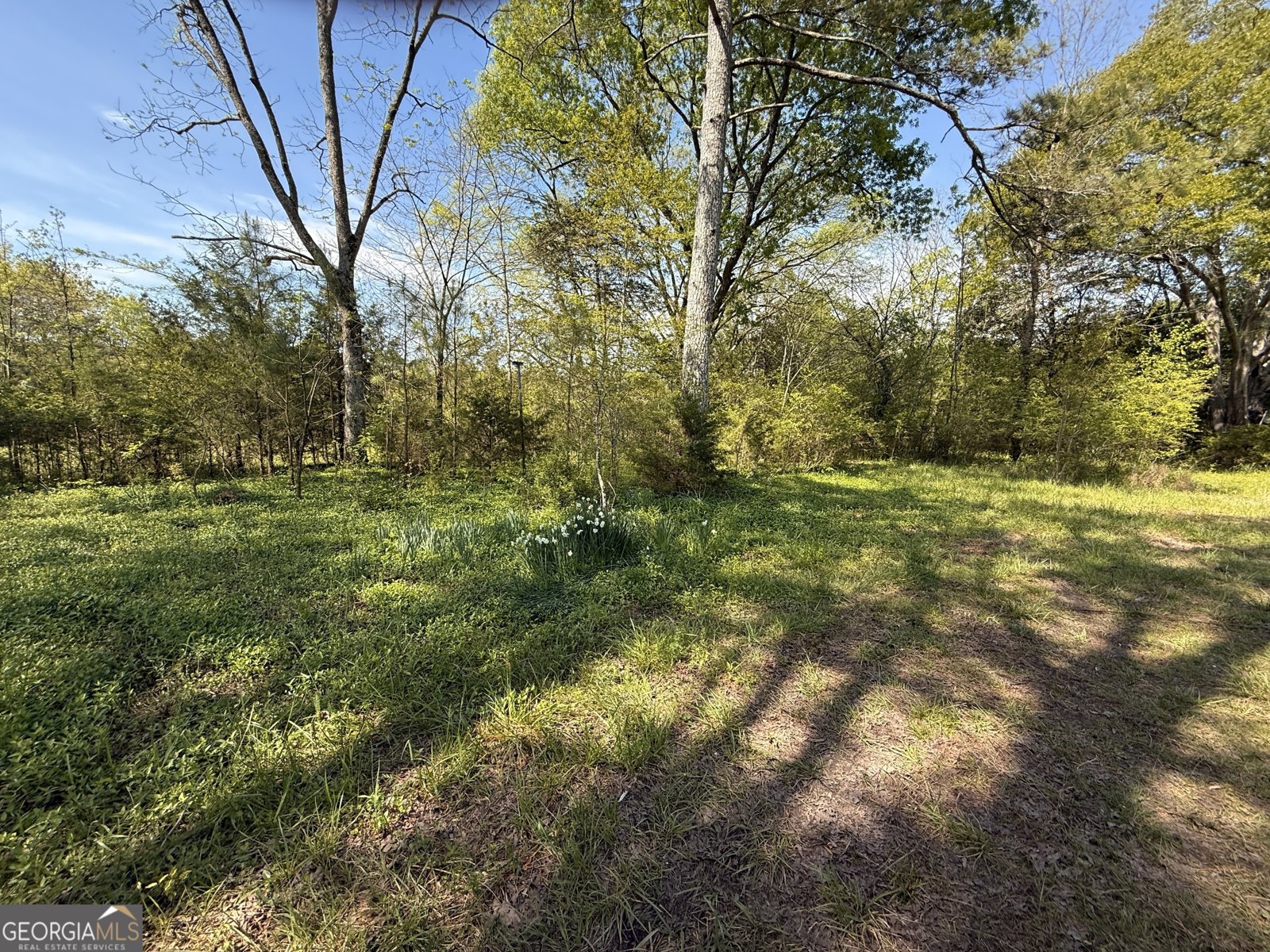 2616 Trion Teloga Road Summerville - 23