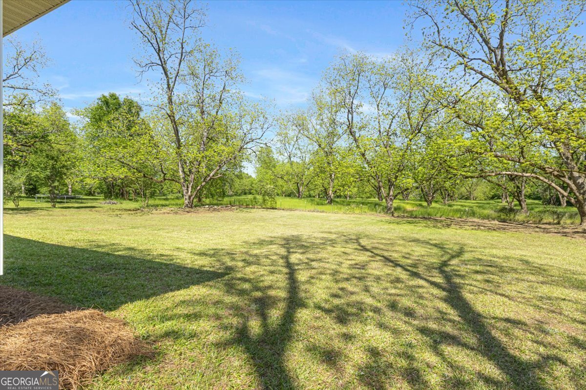 510 Anderson Avenue Fort Valley - 41