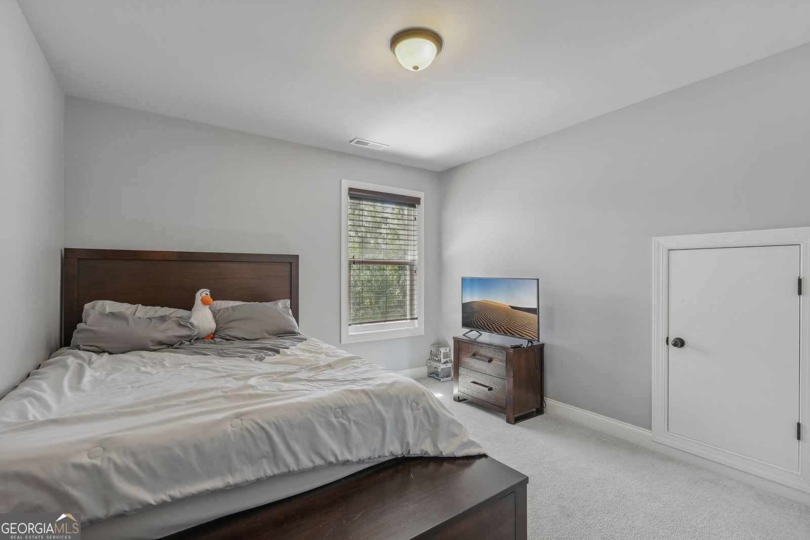 55 Fox Hall Crossing Senoia - 28