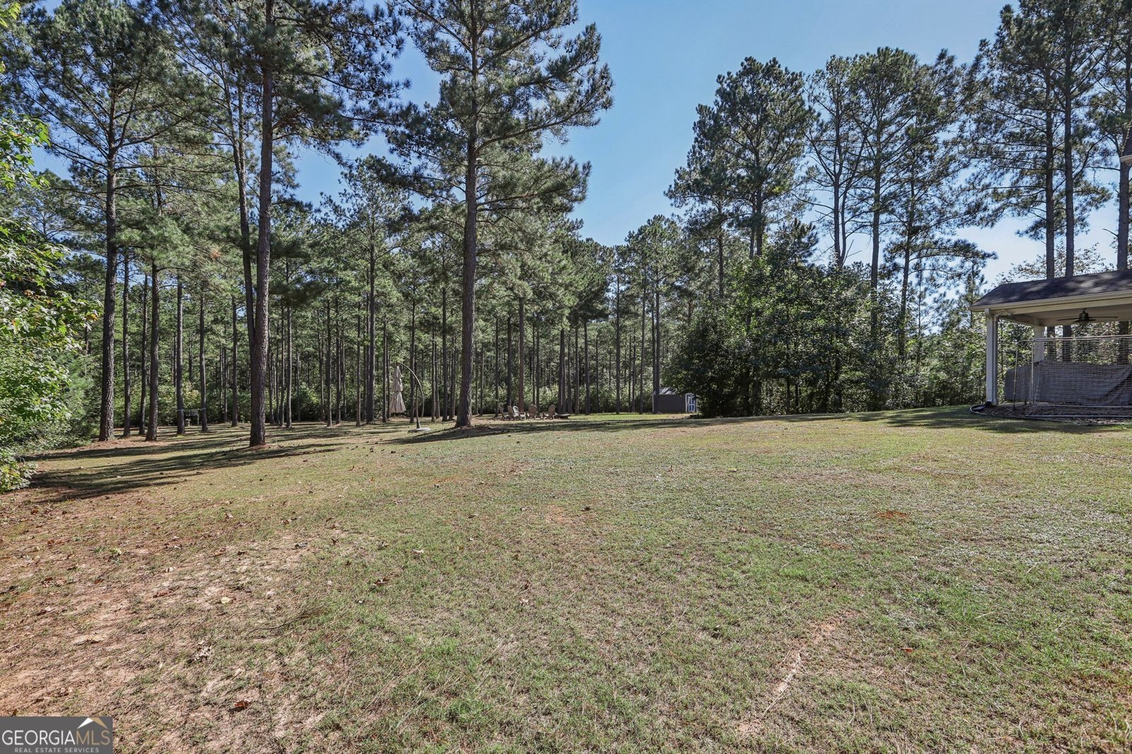 55 Fox Hall Crossing Senoia - 33