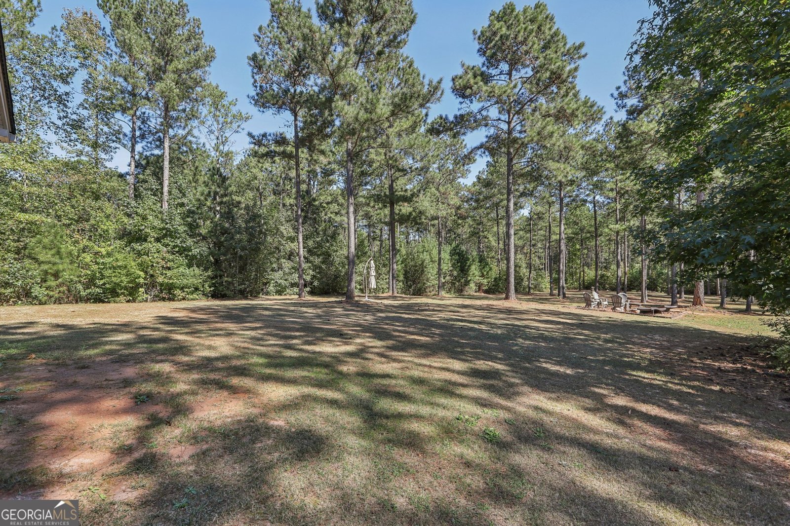 55 Fox Hall Crossing Senoia - 35