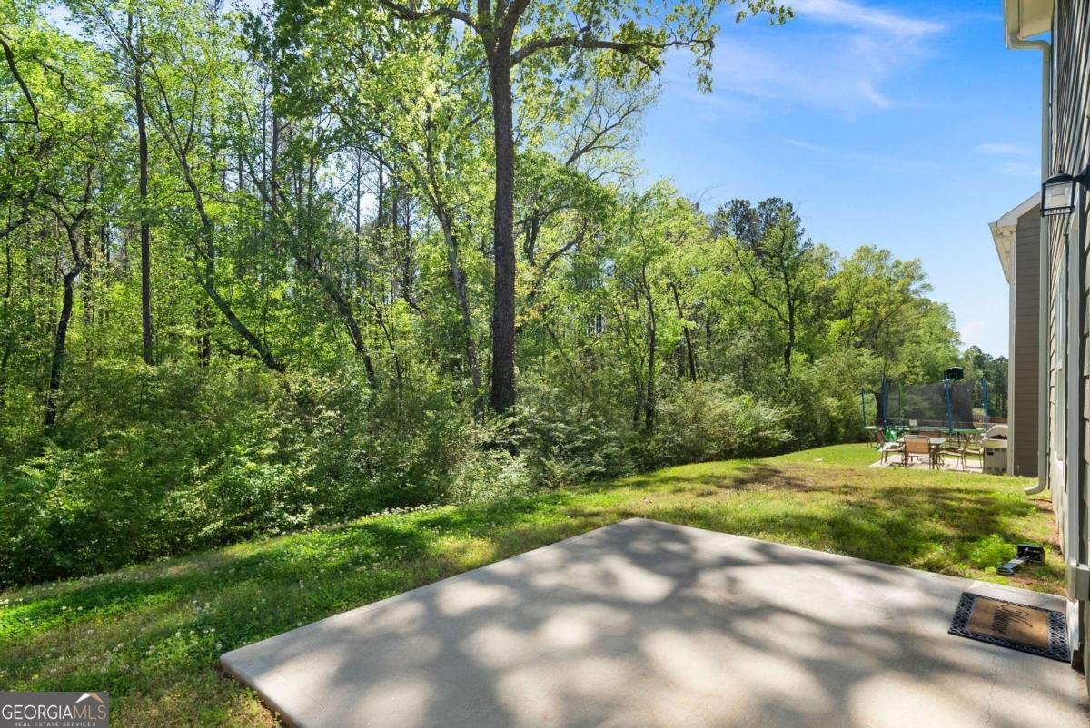 224 Eva Way Cartersville - 29