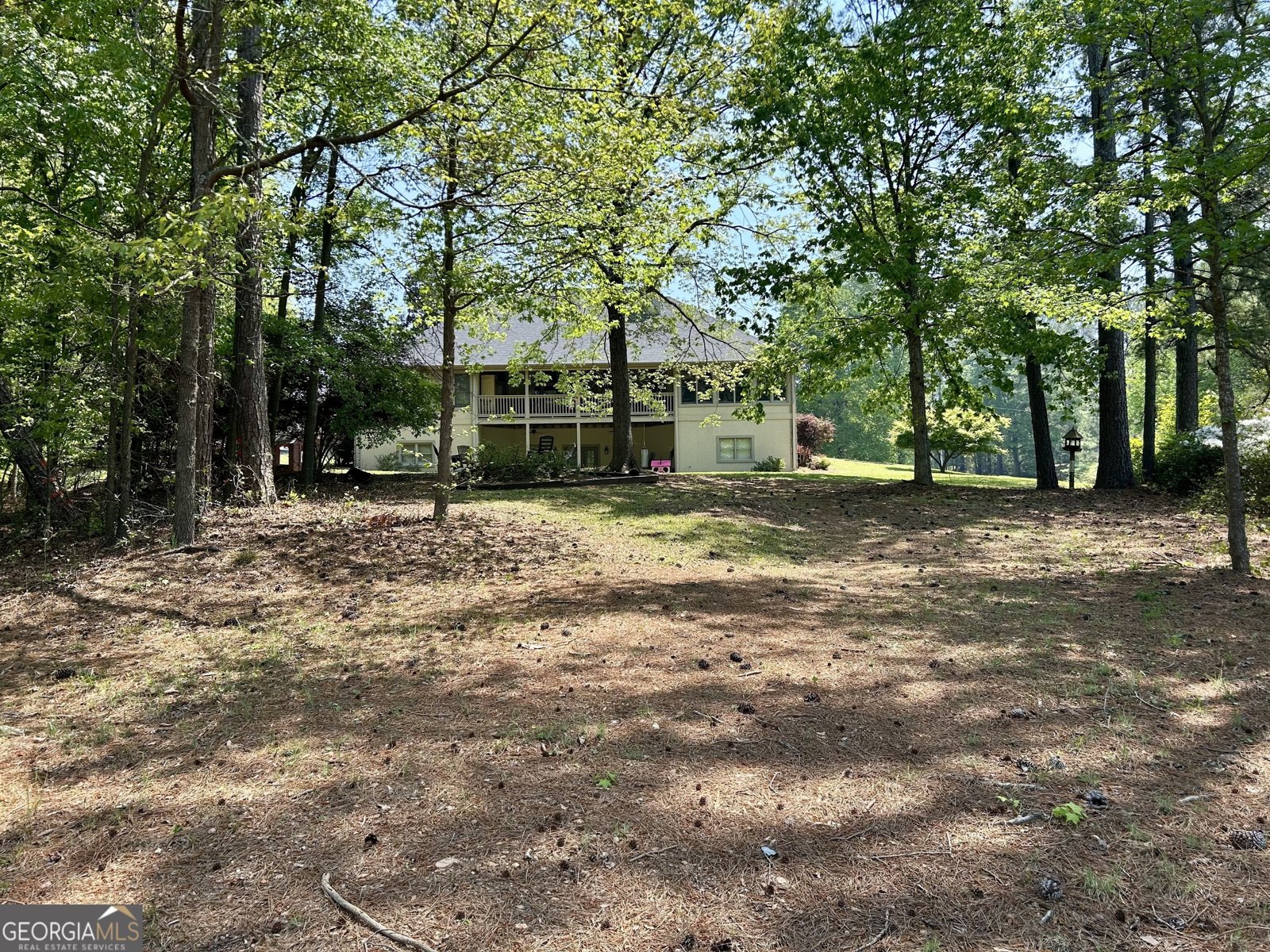 25 Idlewood Lane Hartwell - 17