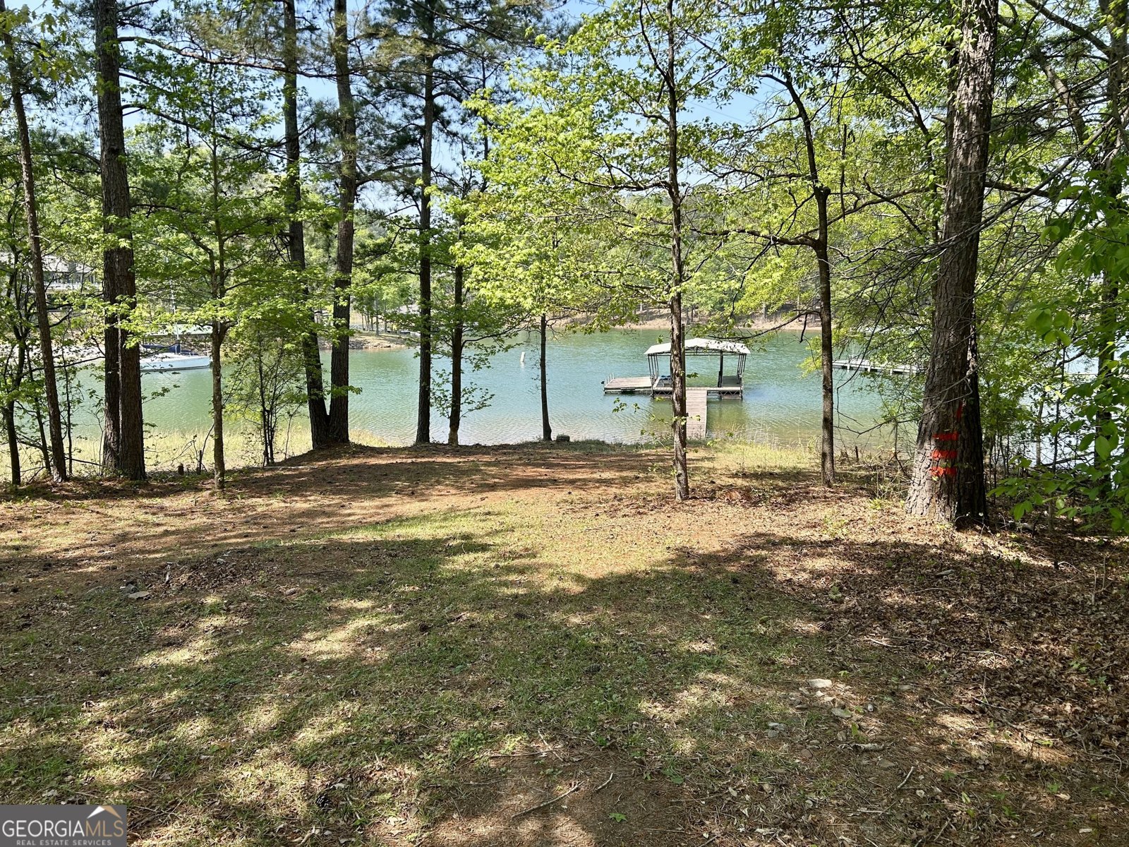 25 Idlewood Lane Hartwell - 20
