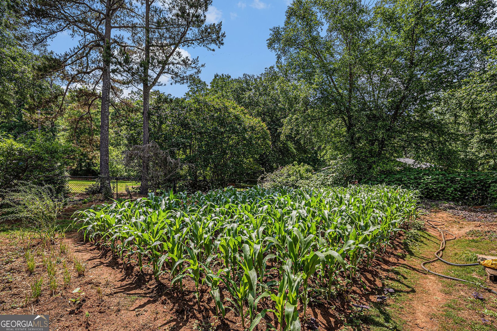 2405 Old Salem Road Conyers - 45