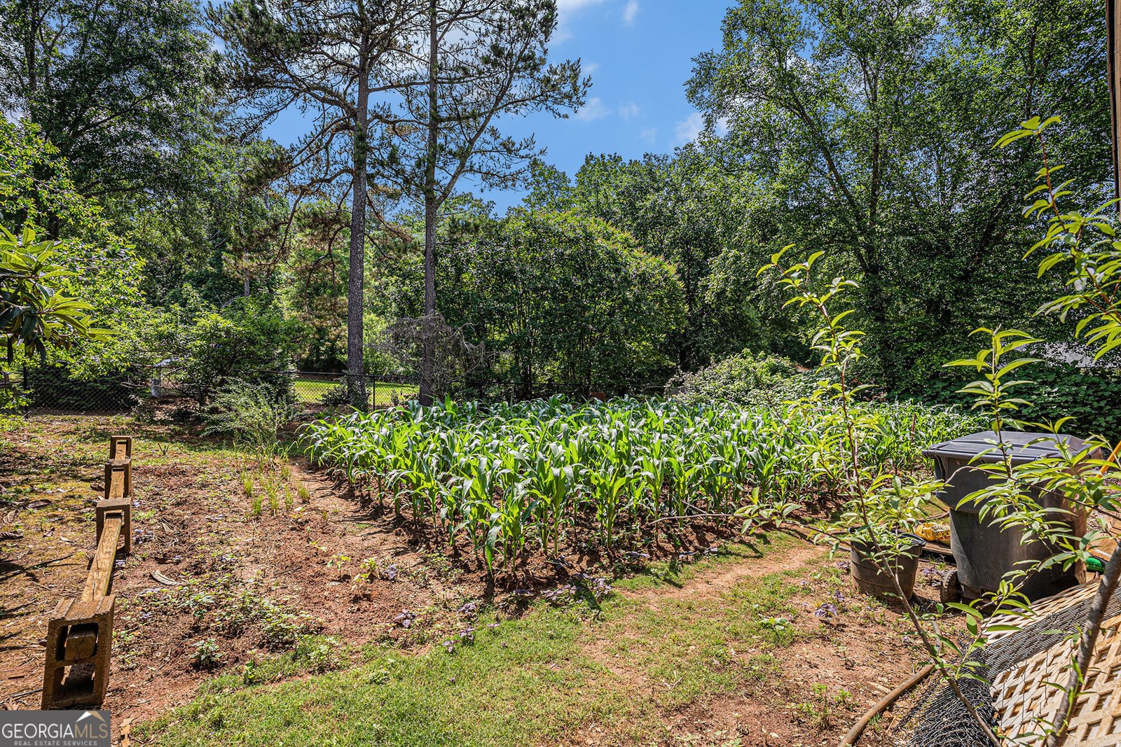 2405 Old Salem Road Conyers - 46