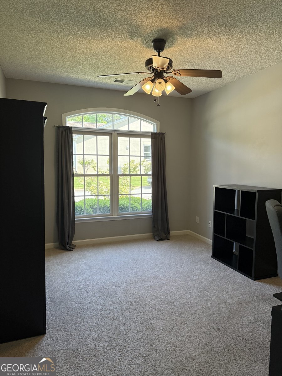 203 Collierstown Way Peachtree City - 17