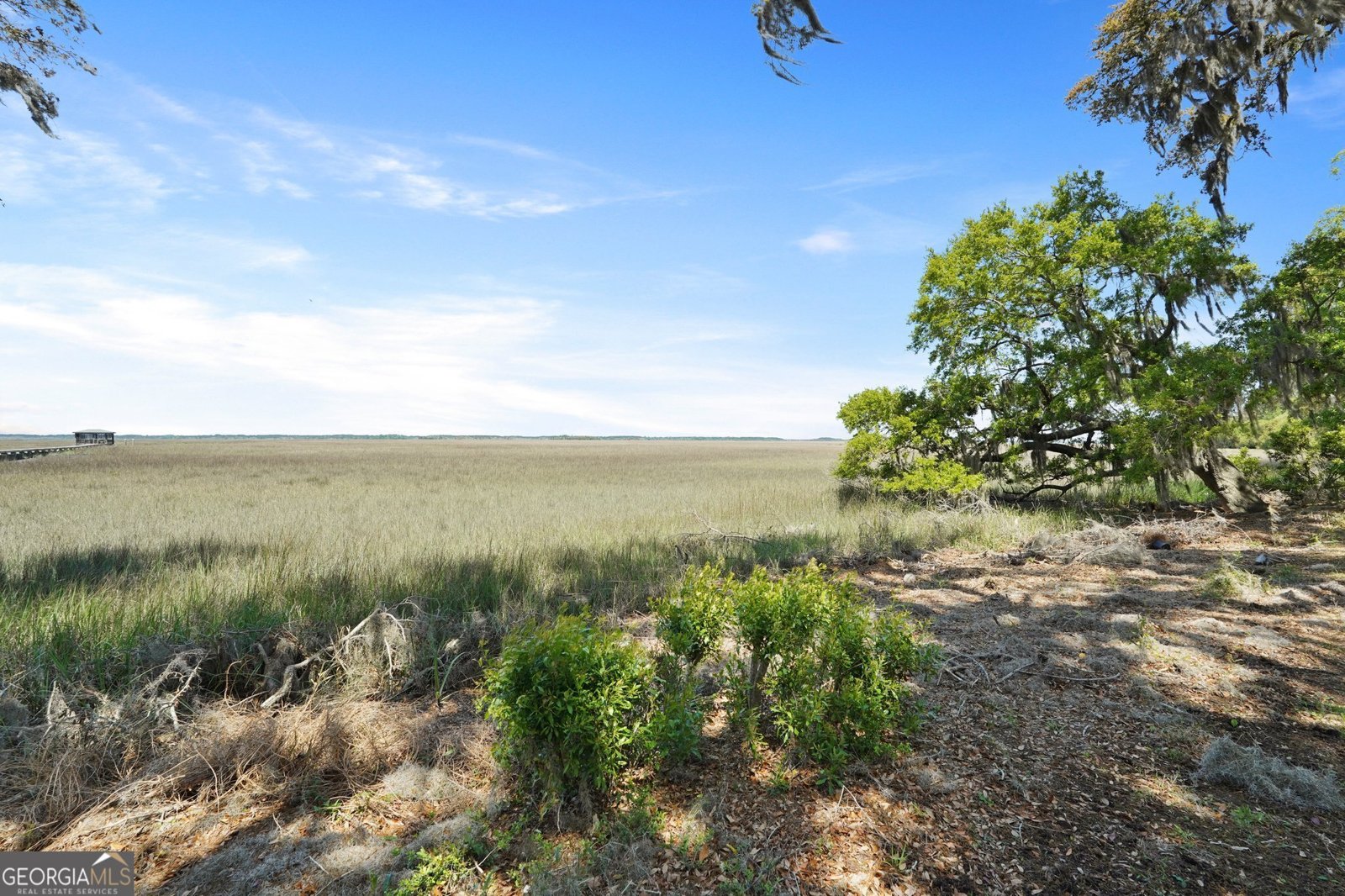1629 Eagle Neck Drive Townsend - 79