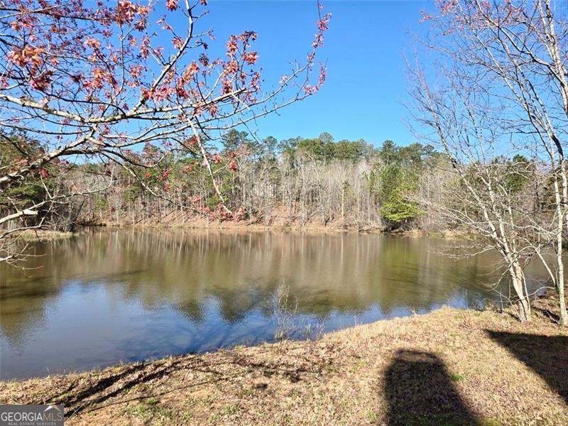 6509 LILY Trail Fairburn - 3
