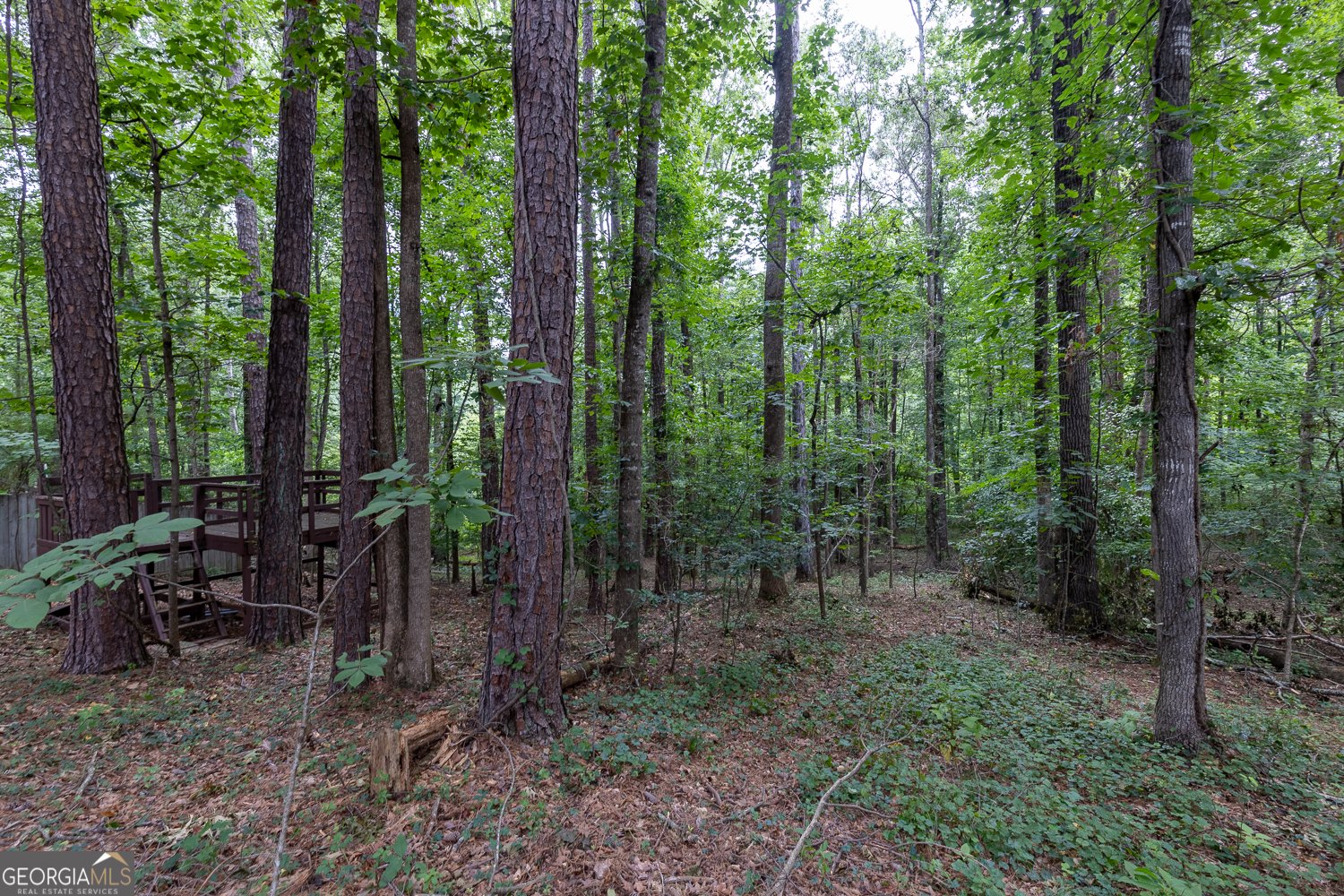 6205 Collingham Trace Cumming - 41