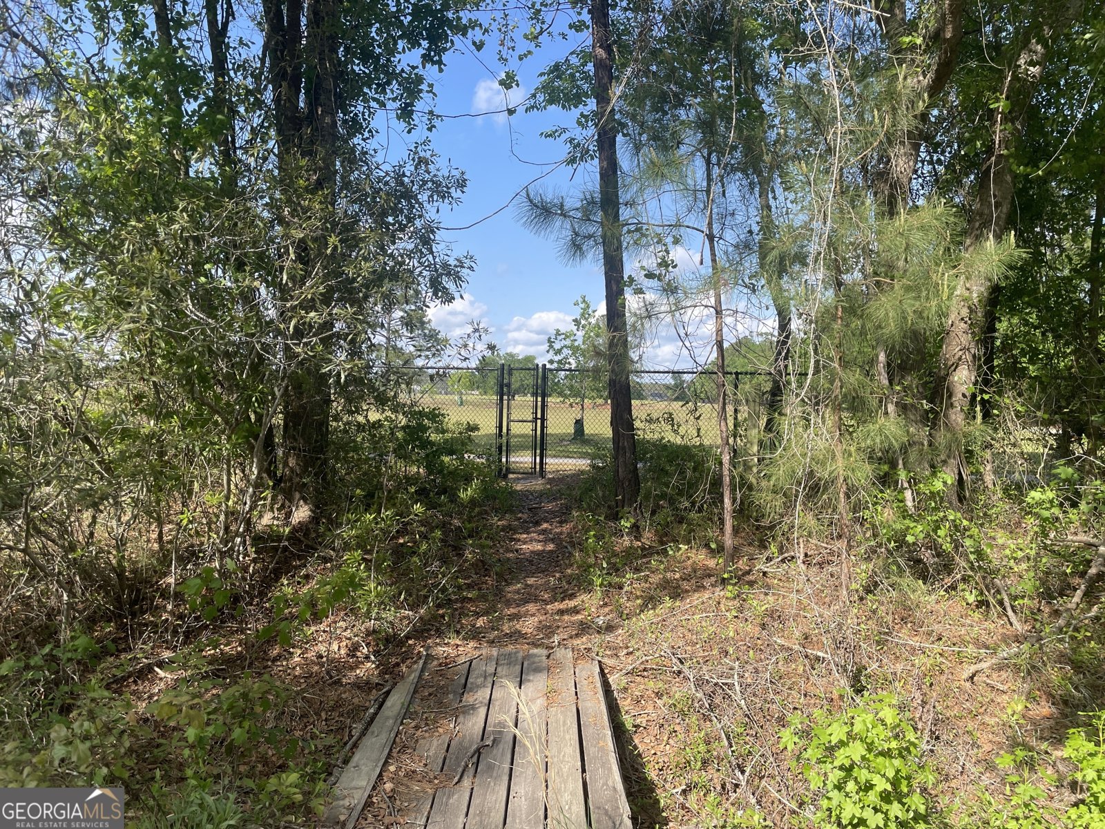 589 Old Mill Creek Road Ellabell - 25