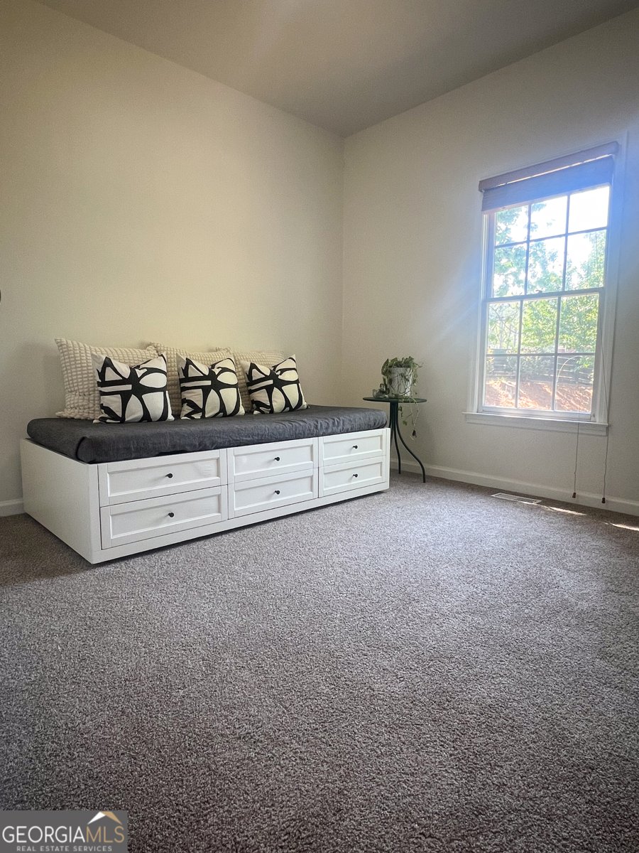 1770 Bethany Spring Trace Cumming - 28