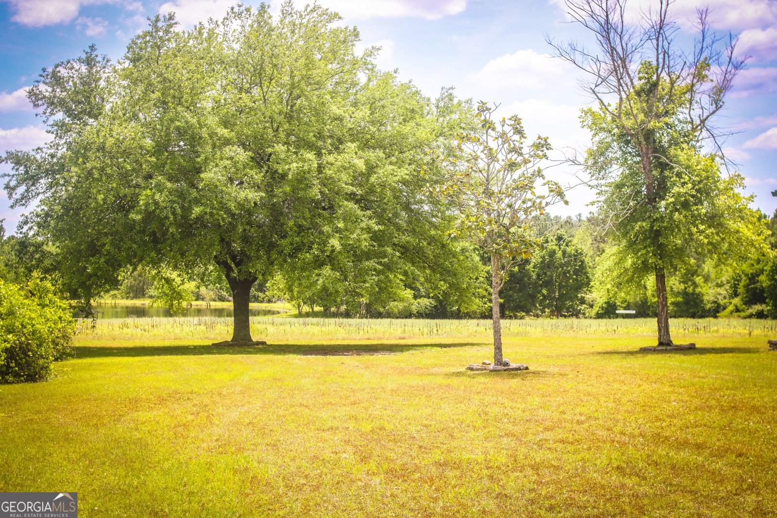 5524 Hooker Branch Road Millen - 10