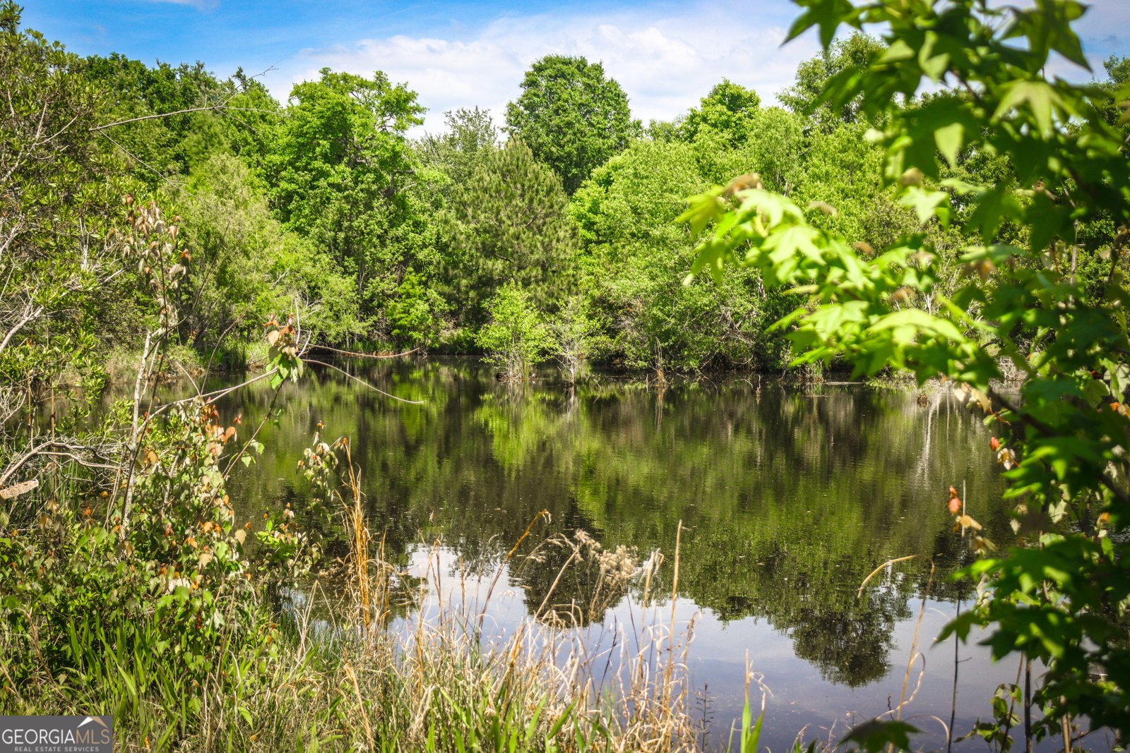 5524 Hooker Branch Road Millen - 21