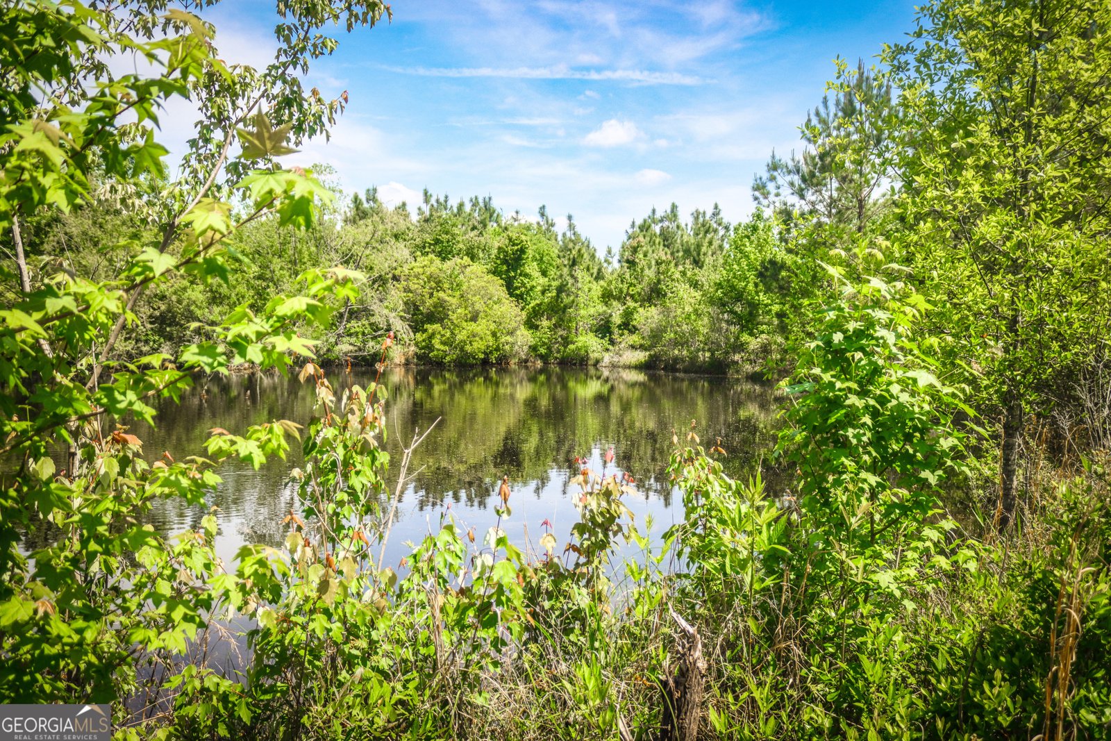 5524 Hooker Branch Road Millen - 22