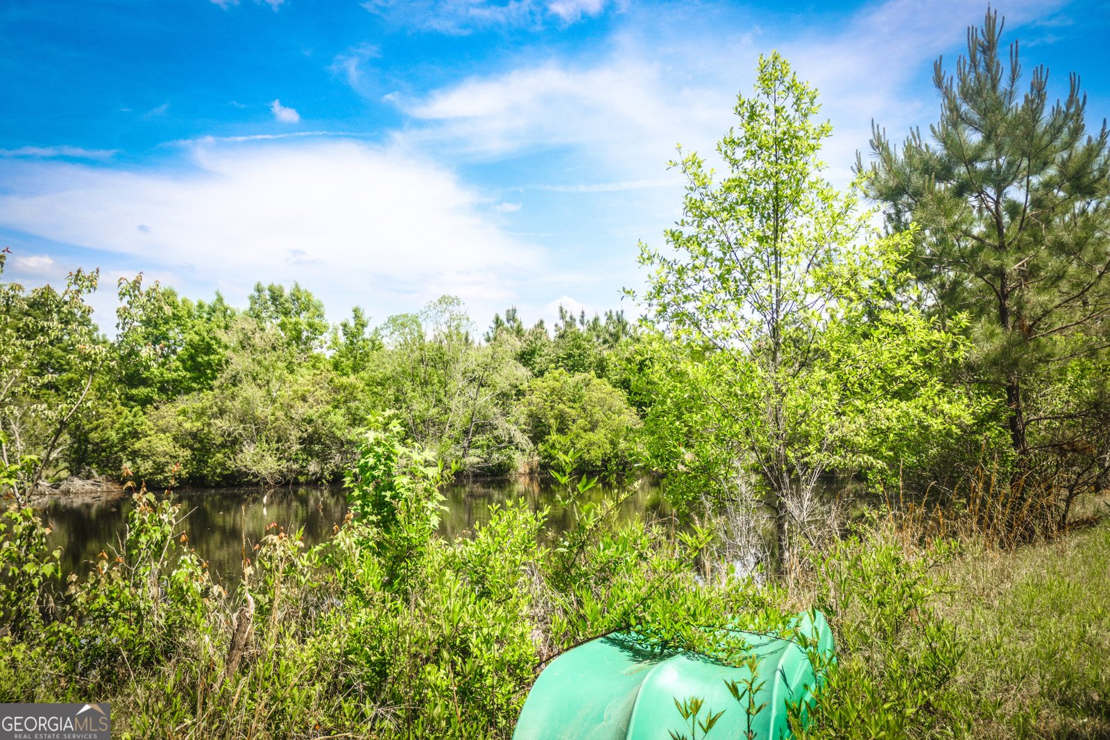 5524 Hooker Branch Road Millen - 23