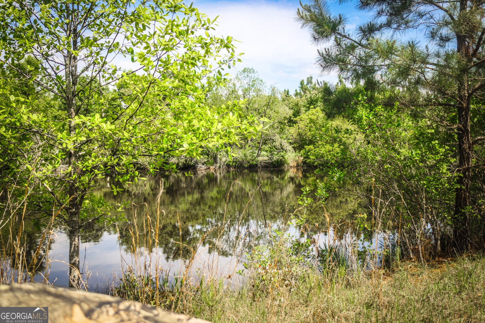 5524 Hooker Branch Road Millen - 24