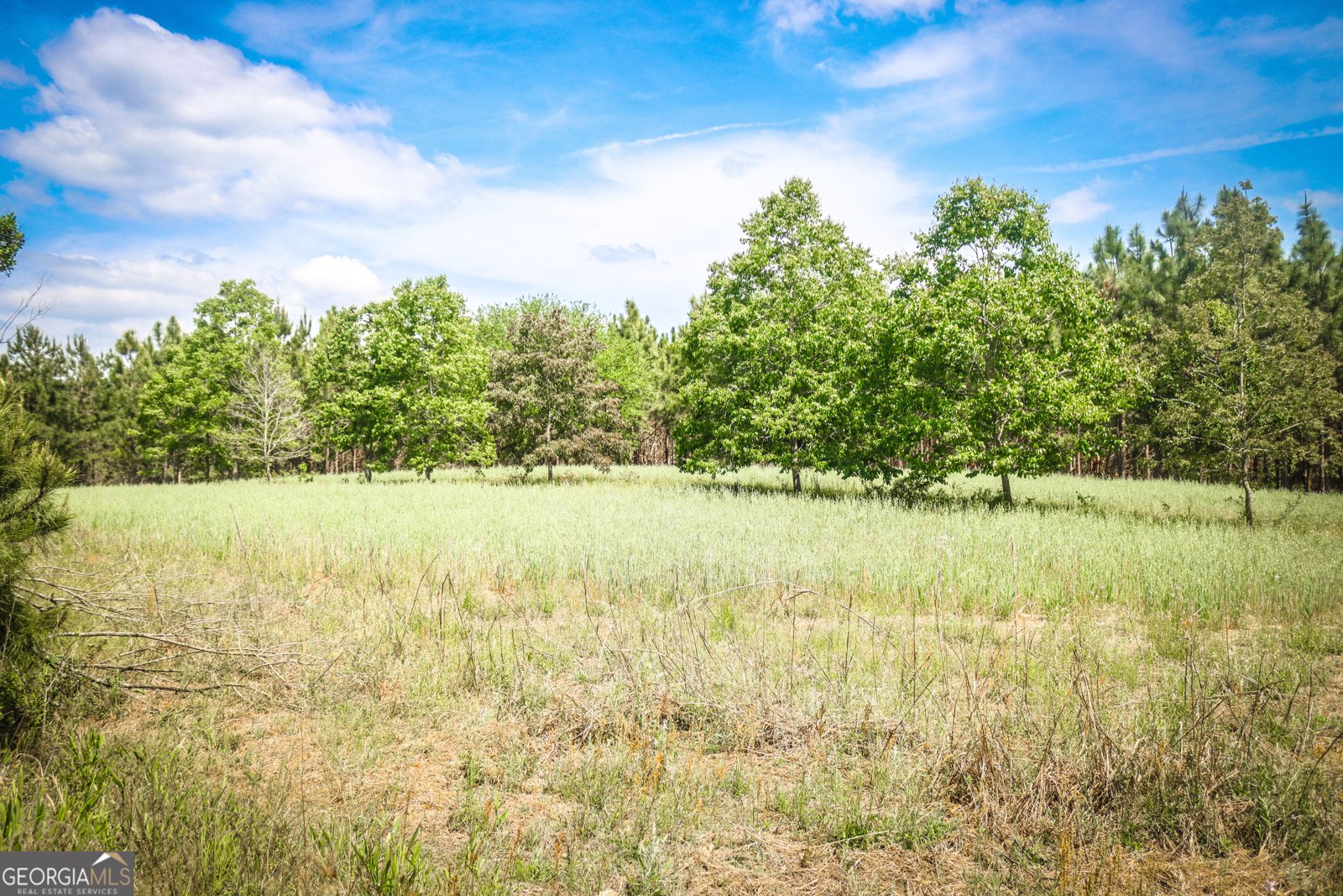 5524 Hooker Branch Road Millen - 25