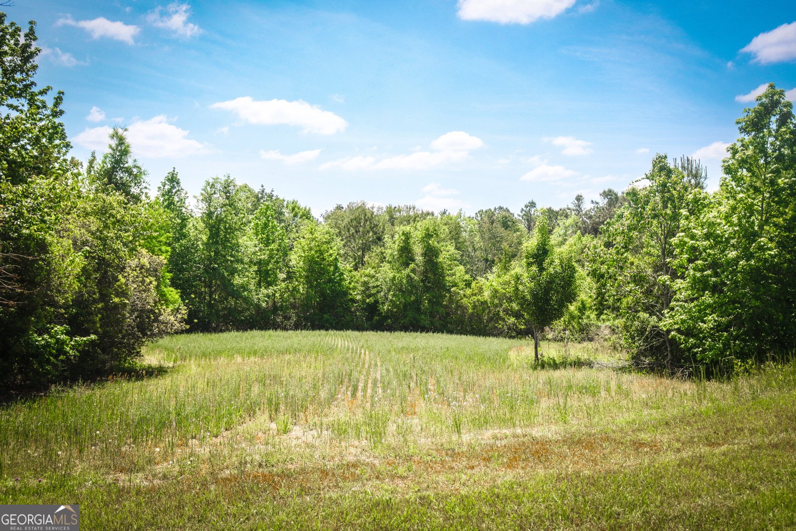 5524 Hooker Branch Road Millen - 27