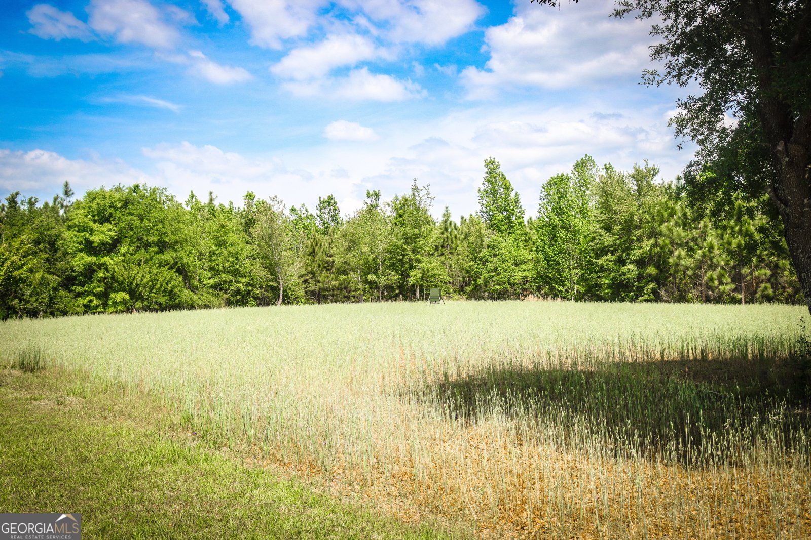 5524 Hooker Branch Road Millen - 28