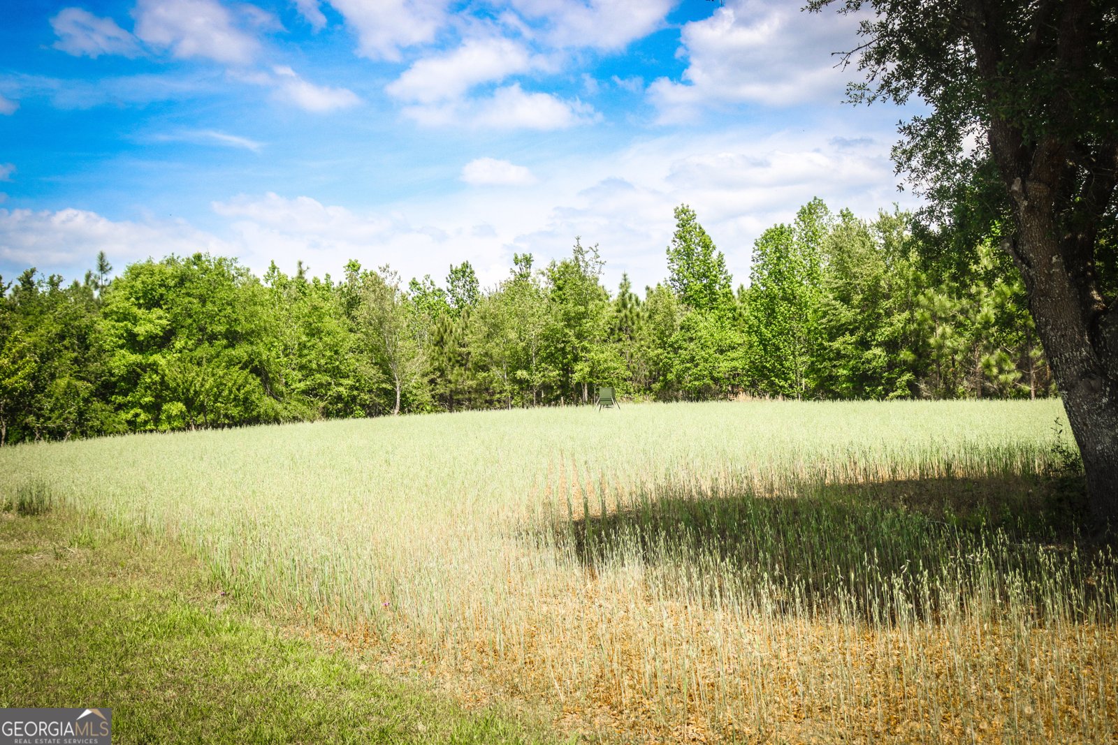 5524 Hooker Branch Road Millen - 30
