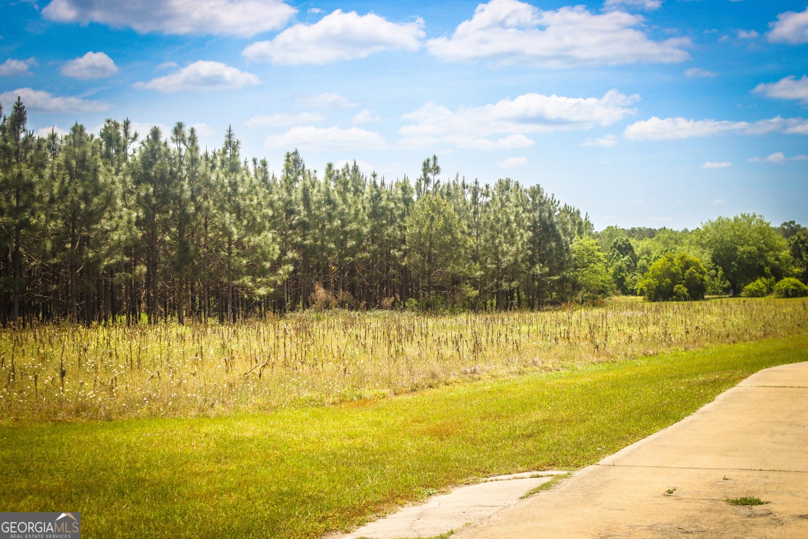 5524 Hooker Branch Road Millen - 6