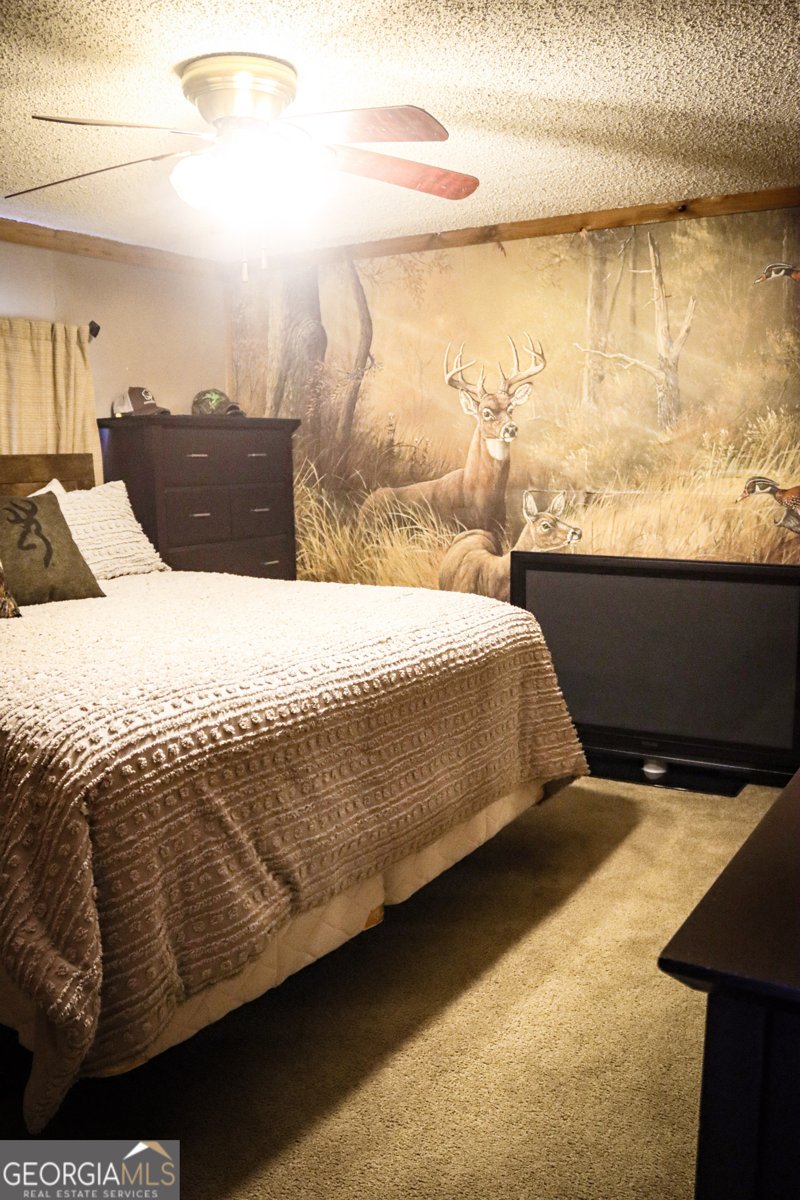 5524 Hooker Branch Road Millen - 62