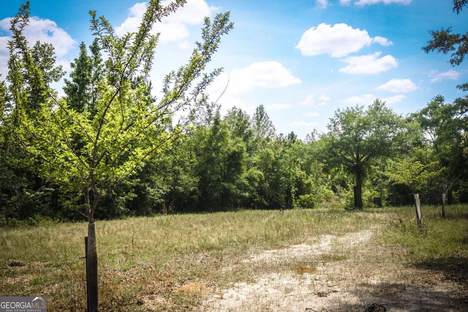 5524 Hooker Branch Road Millen - 71