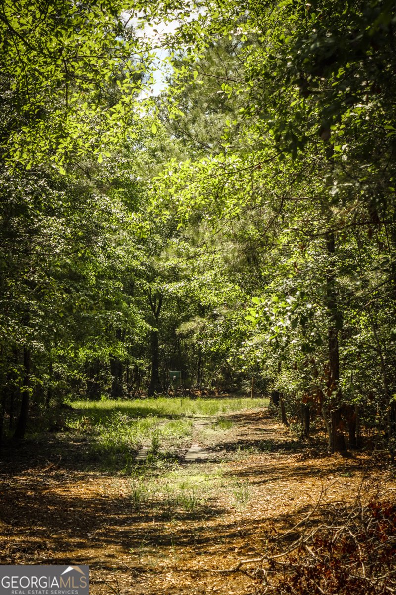 5524 Hooker Branch Road Millen - 72