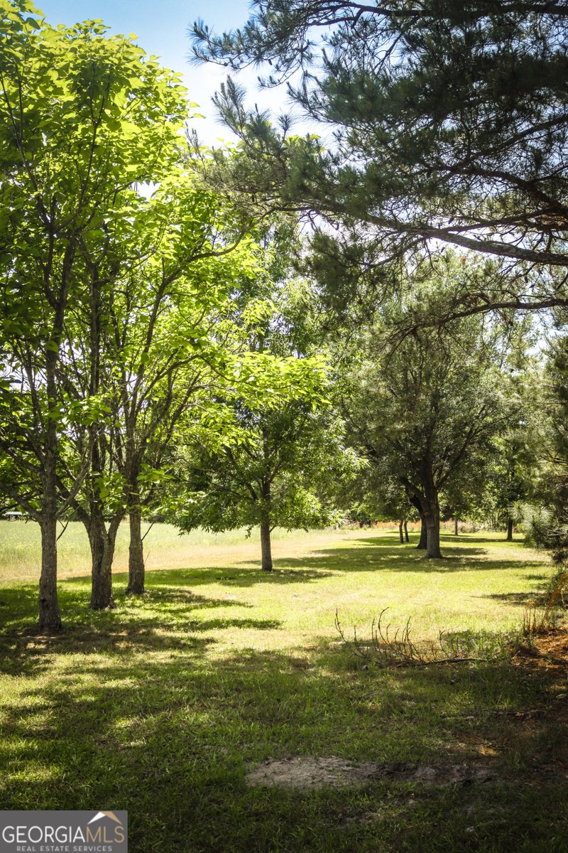 5524 Hooker Branch Road Millen - 76