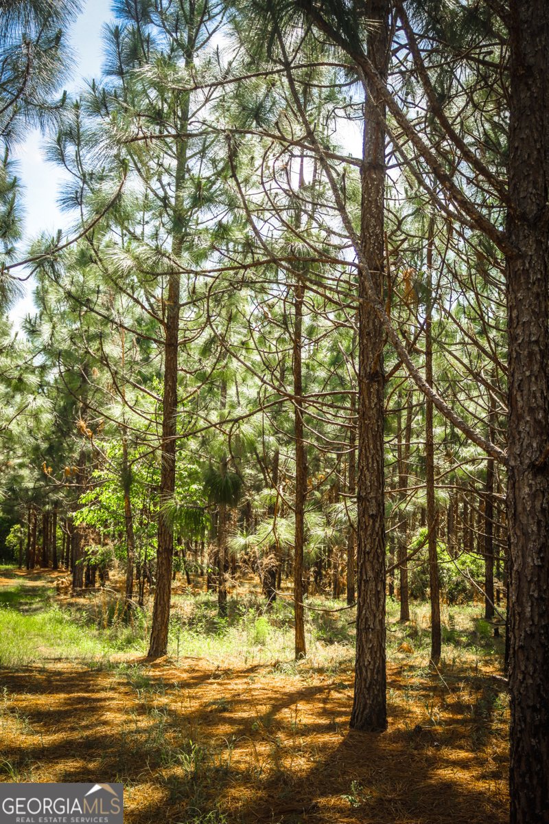 5524 Hooker Branch Road Millen - 79