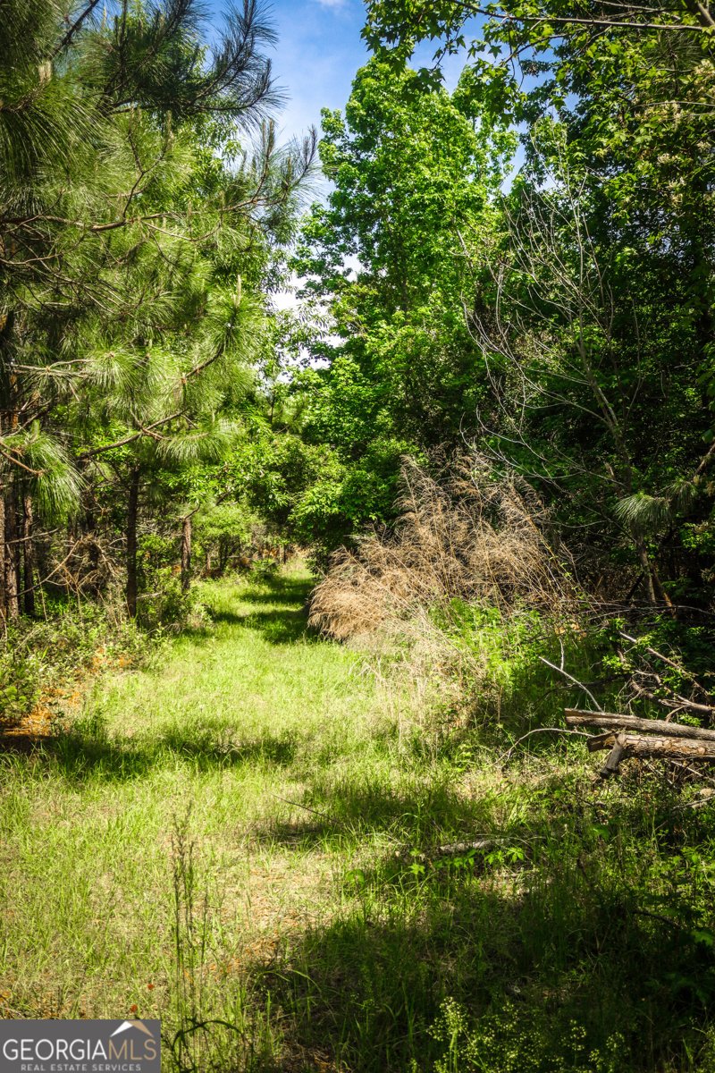 5524 Hooker Branch Road Millen - 80