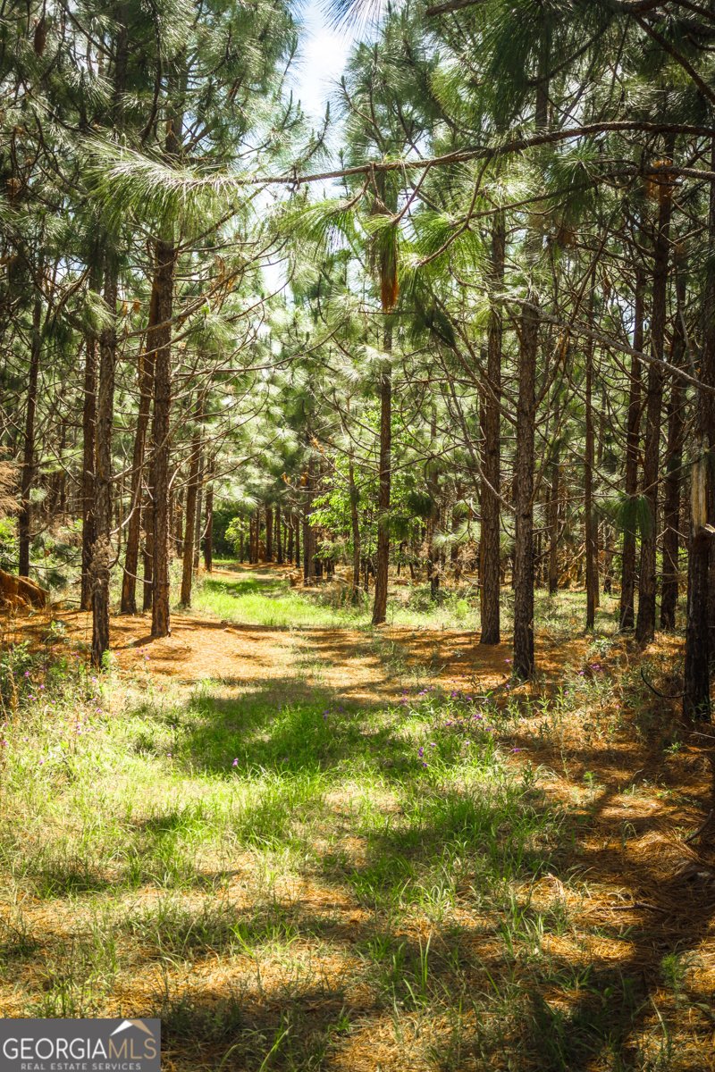 5524 Hooker Branch Road Millen - 81