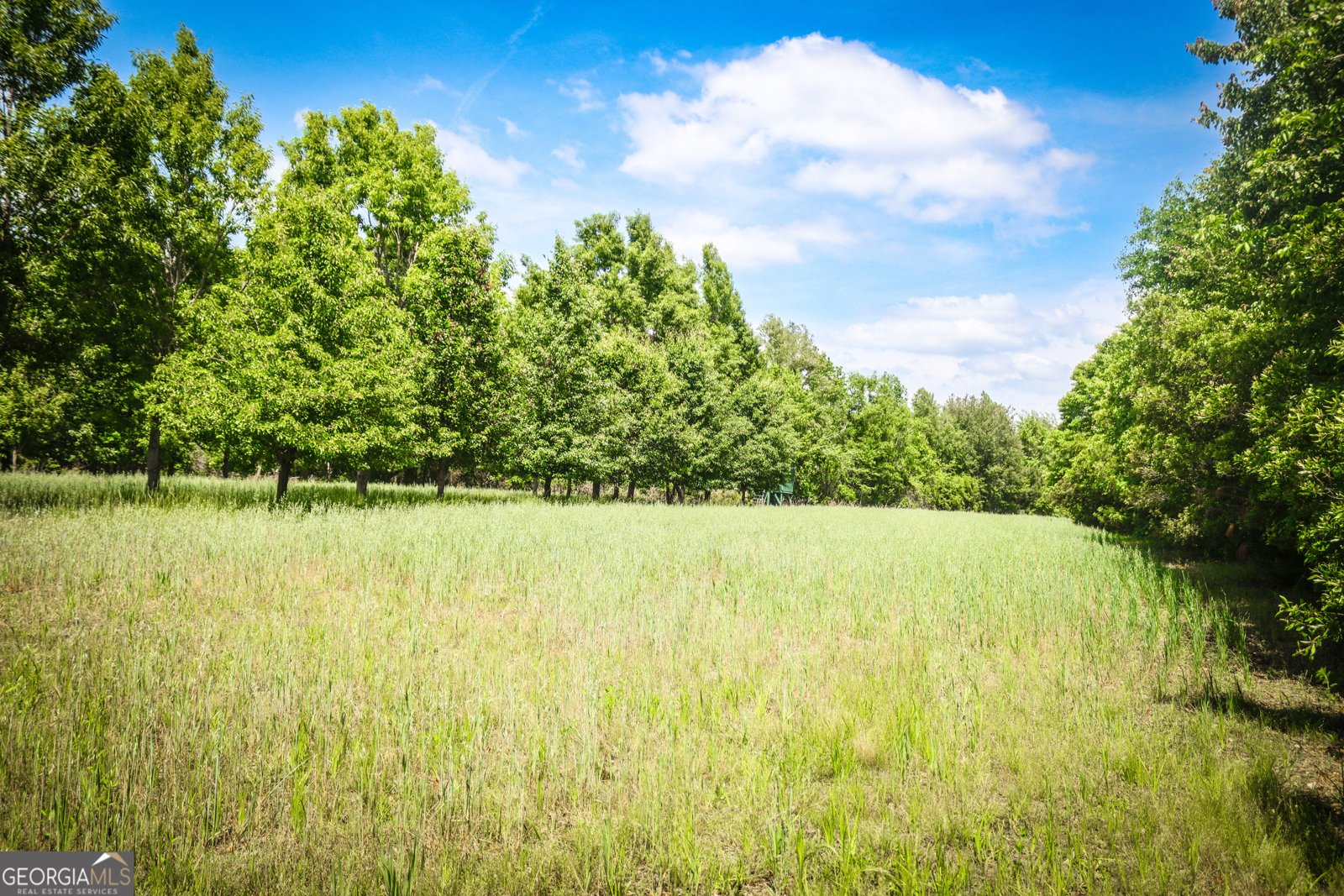 5524 Hooker Branch Road Millen - 82