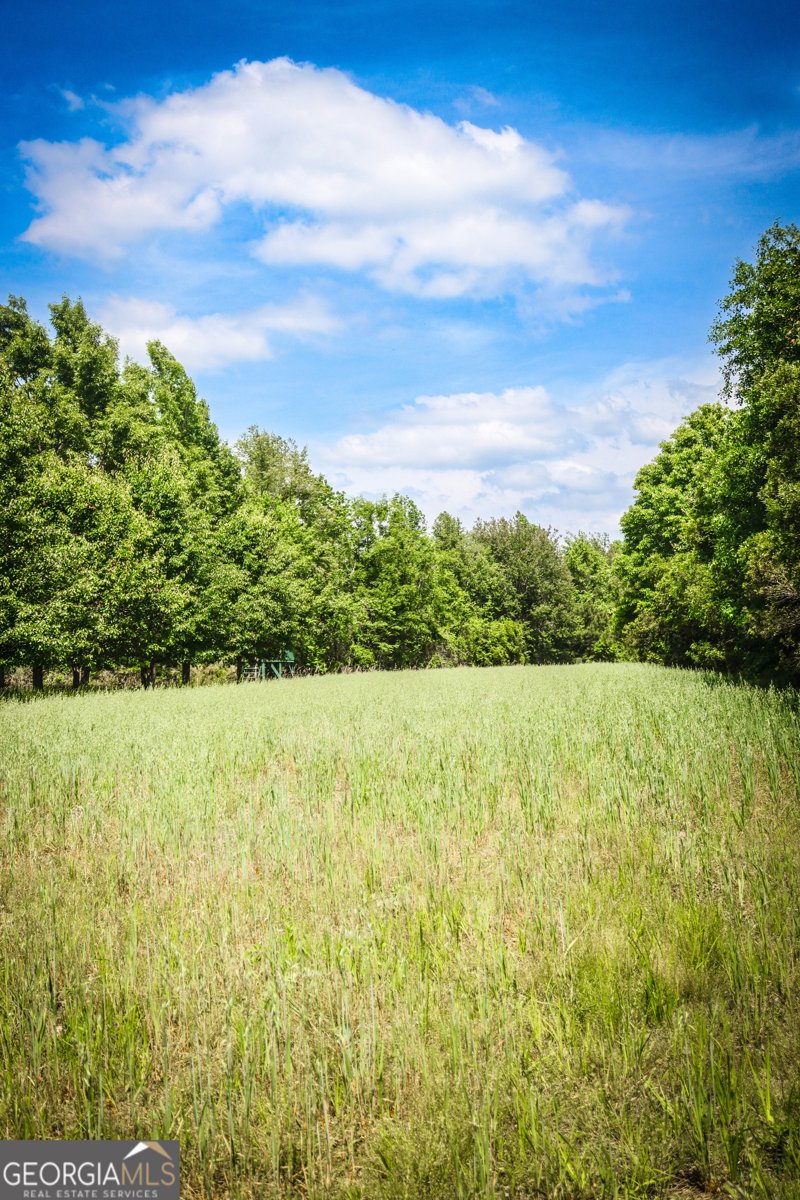 5524 Hooker Branch Road Millen - 84