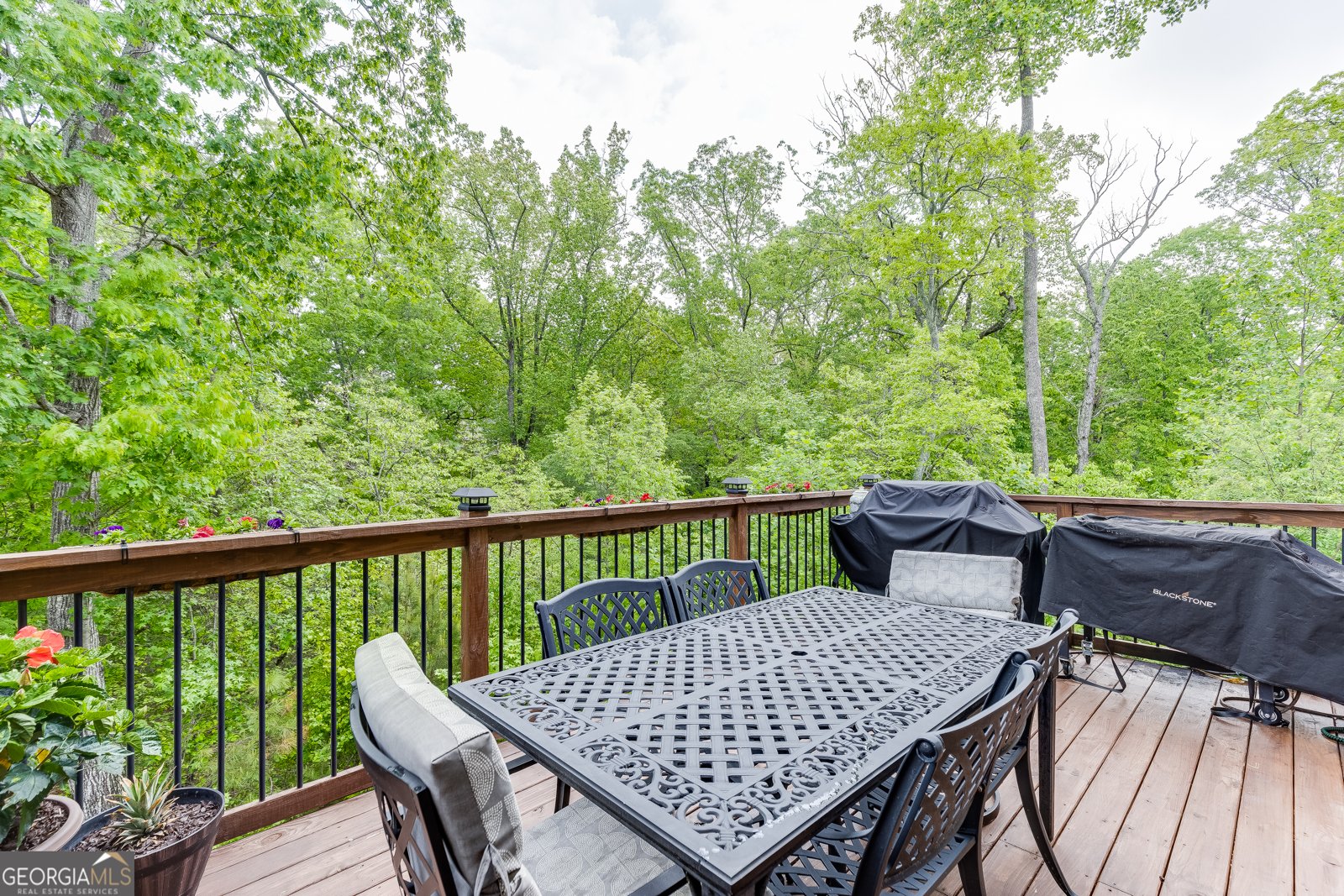 3097 Trinity Grove Drive Dacula - 64