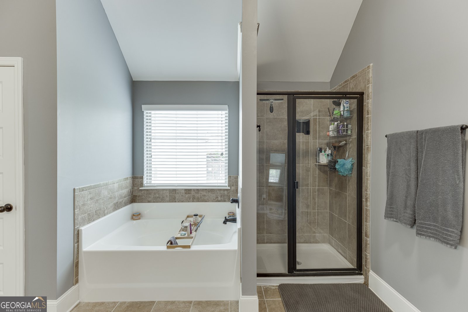 3097 Trinity Grove Drive Dacula - 66