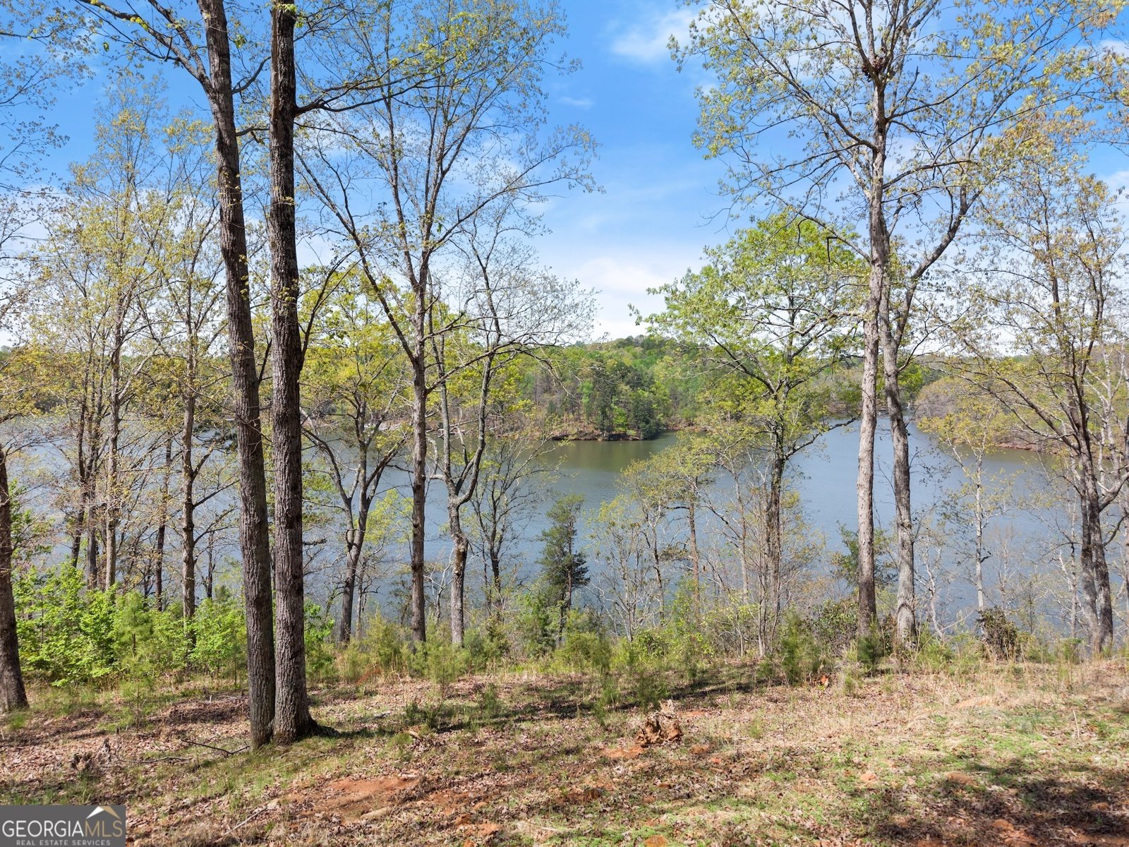 3365 Hall Drive Gainesville - 23