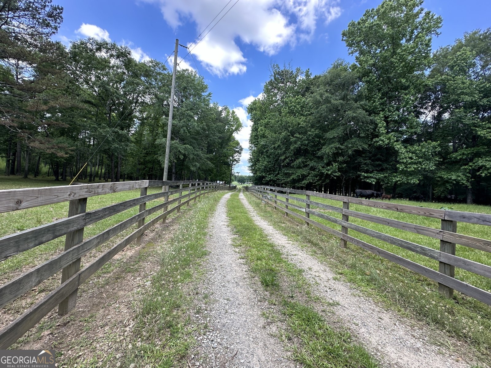 131 River Cove Road Woodbury - 15