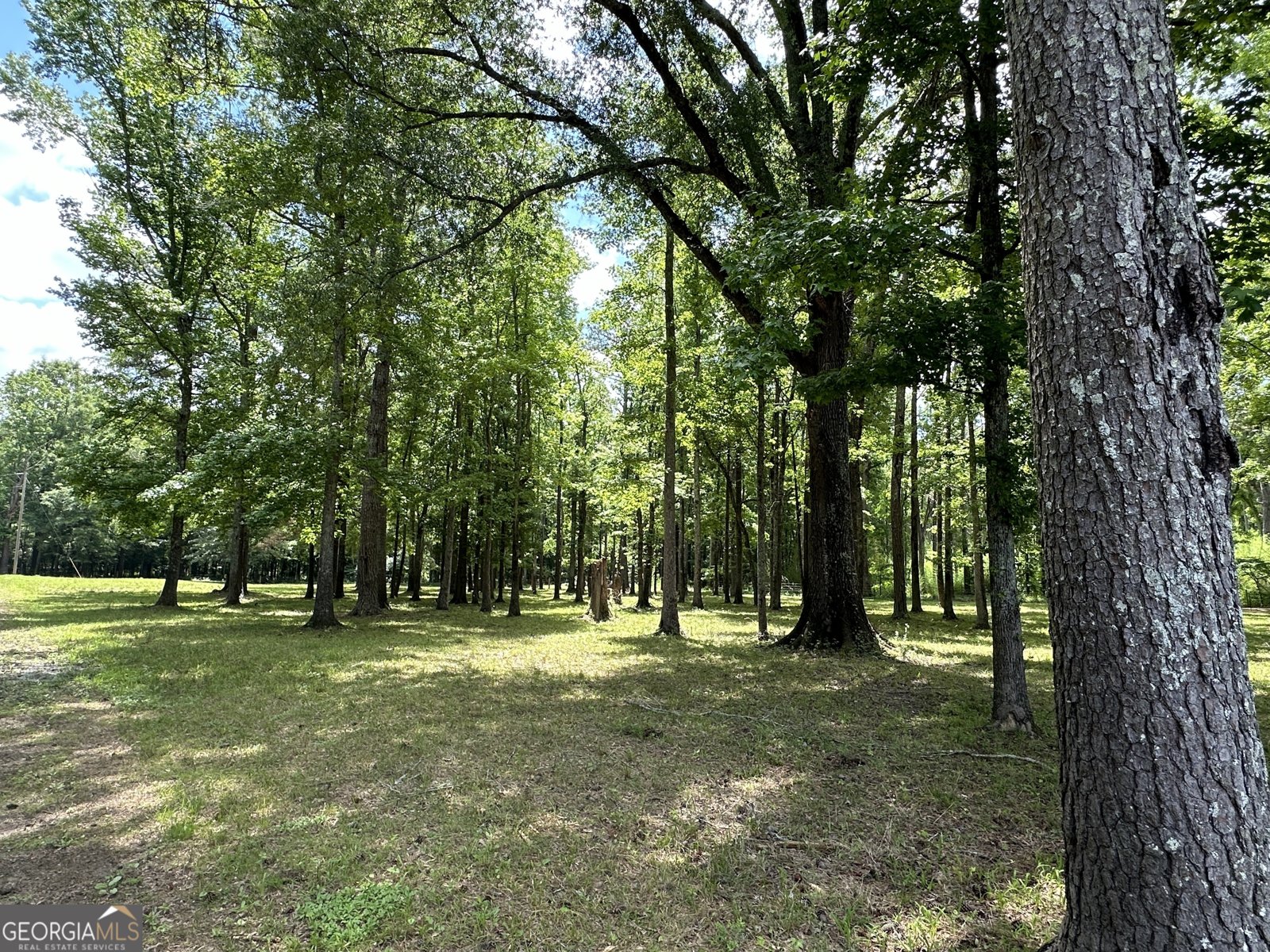131 River Cove Road Woodbury - 17